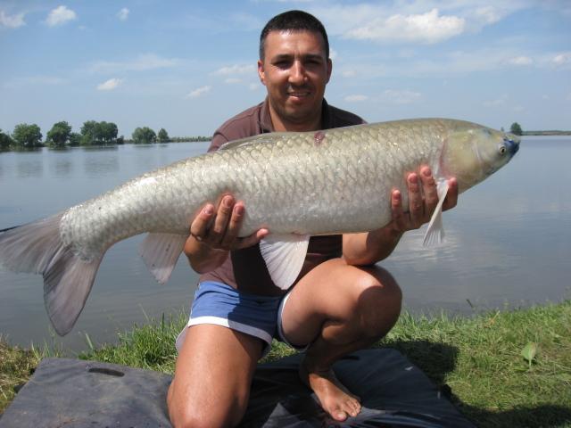 Pasiune - img1630.JPG